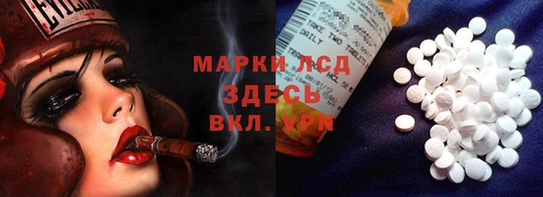 apvp Алзамай