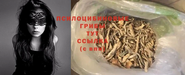 ПСИЛОЦИБИНОВЫЕ ГРИБЫ Алексин